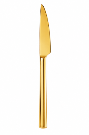 Stainless Steel Knife Finish Gold