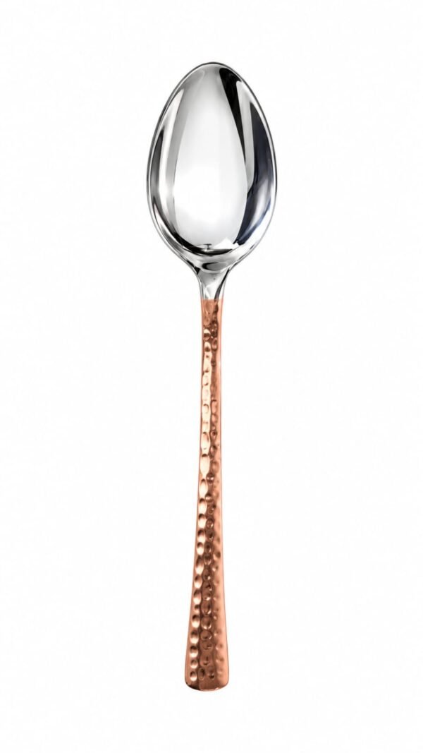Stainless Steel + Copper Spoon